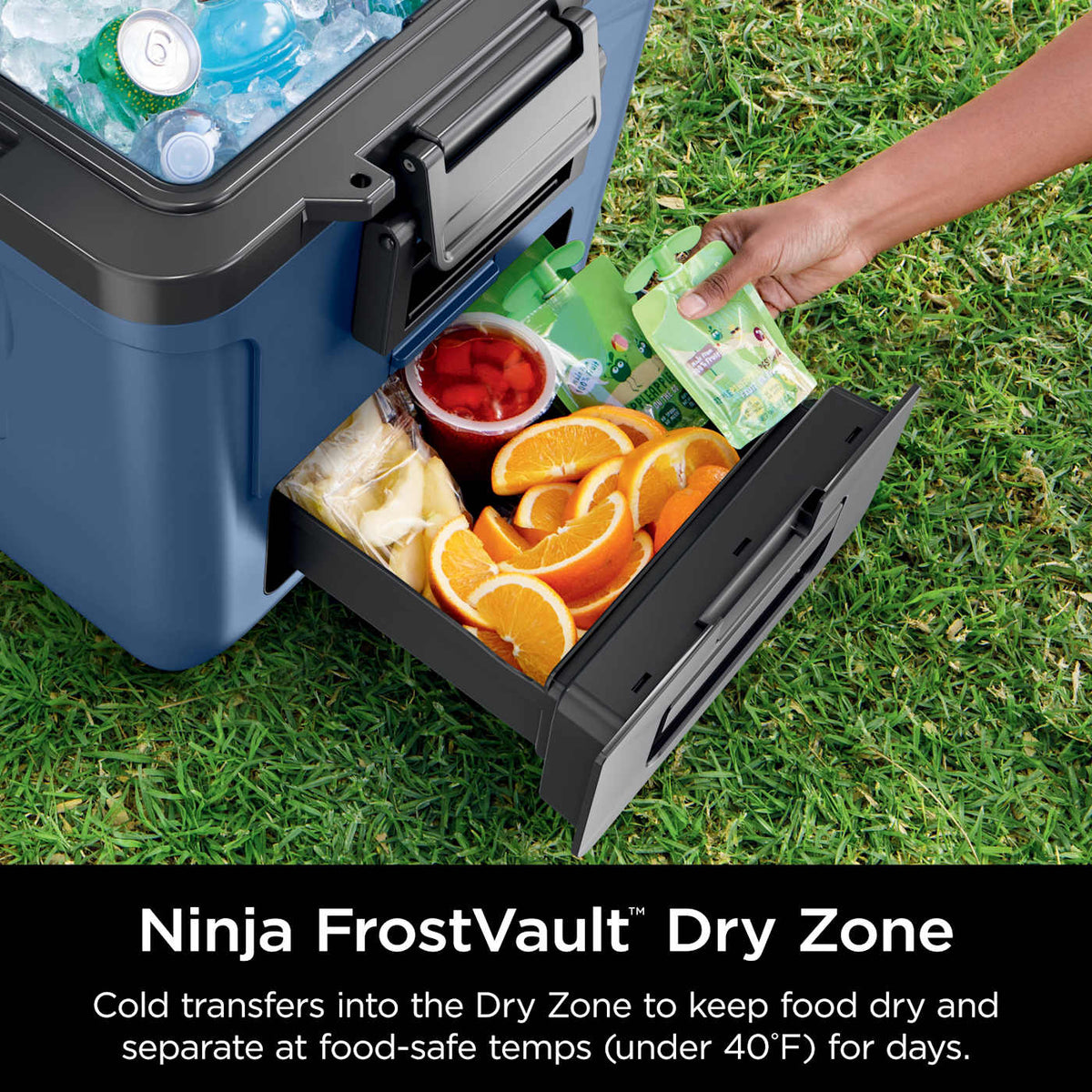 Ninja FrostVault™ 30qt Wheeled Cooler with Dry Zone, Lakeshore Blue