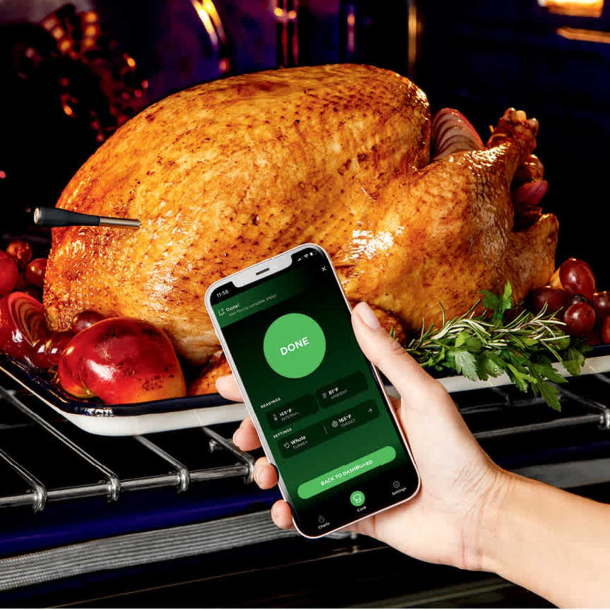 Ninja Woodfire® 6-in-1 Outdoor Grill & Smoker and Wireless Thermometer Bundle