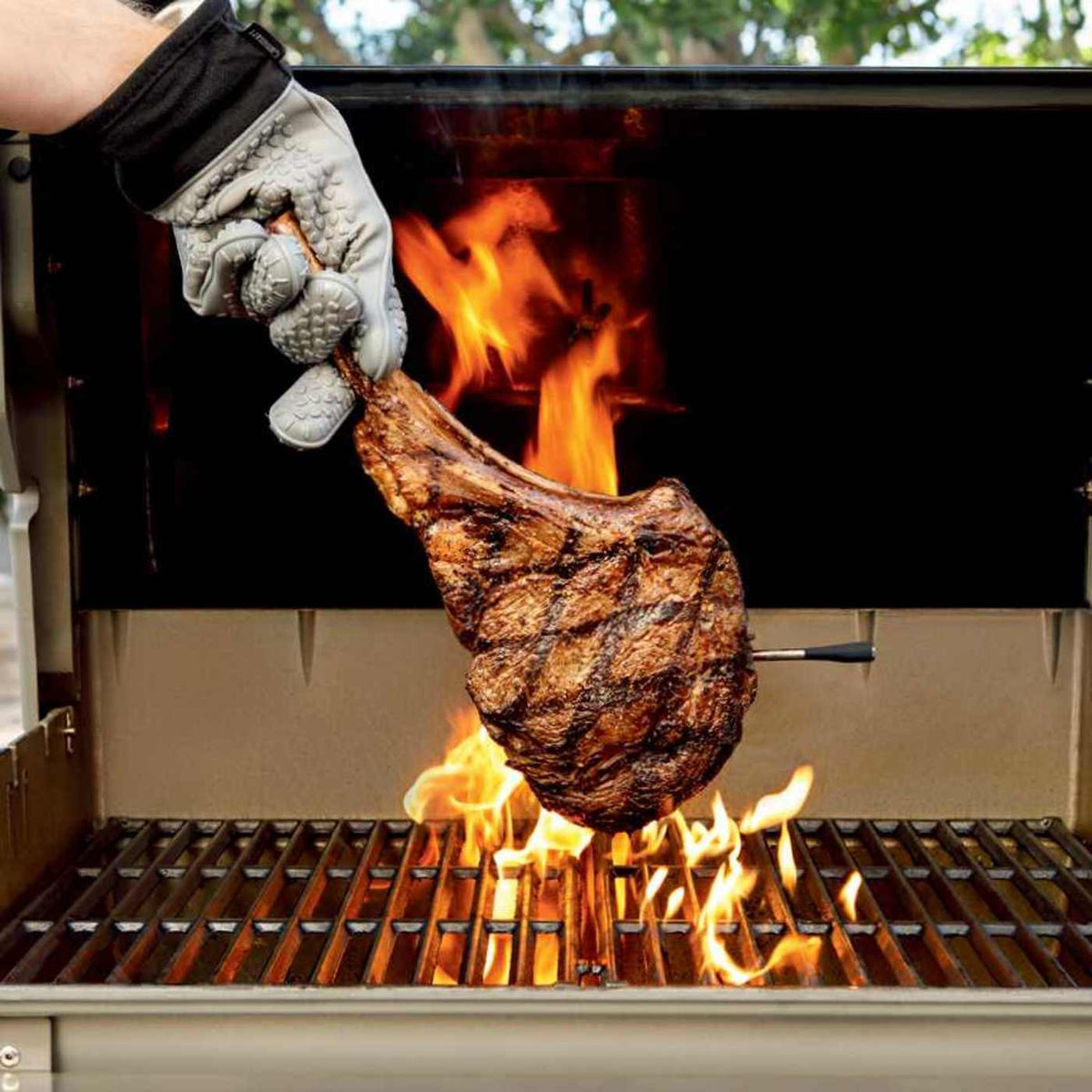Ninja Woodfire® 6-in-1 Outdoor Grill & Smoker and Wireless Thermometer Bundle
