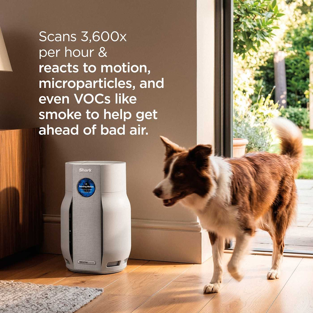 Shark BreatheClear™ Air Purifier with NeverChange™, Dove