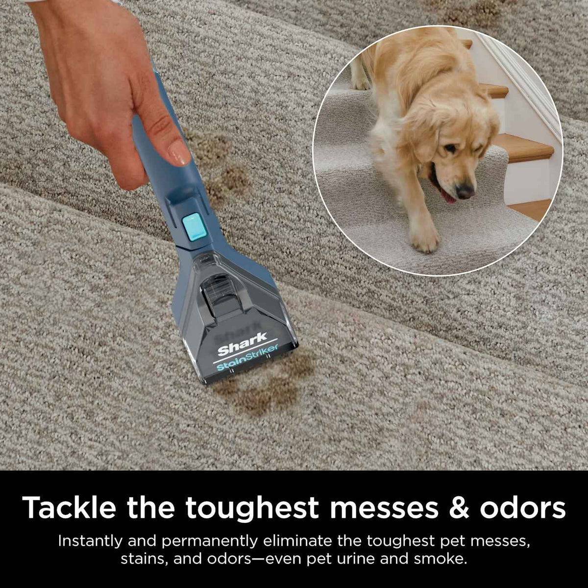 Shark CarpetXpert™ with StainStriker™