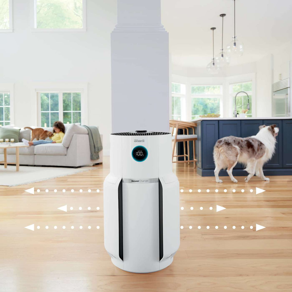 Shark NeverChange™ Air Purifier MAX and NeverChange™ Air Purifier Compact Pro Bundle